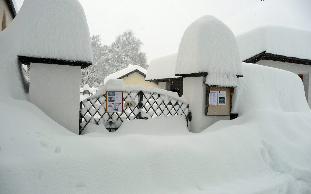 Amlach – Schneebilder 31. Jänner 2014