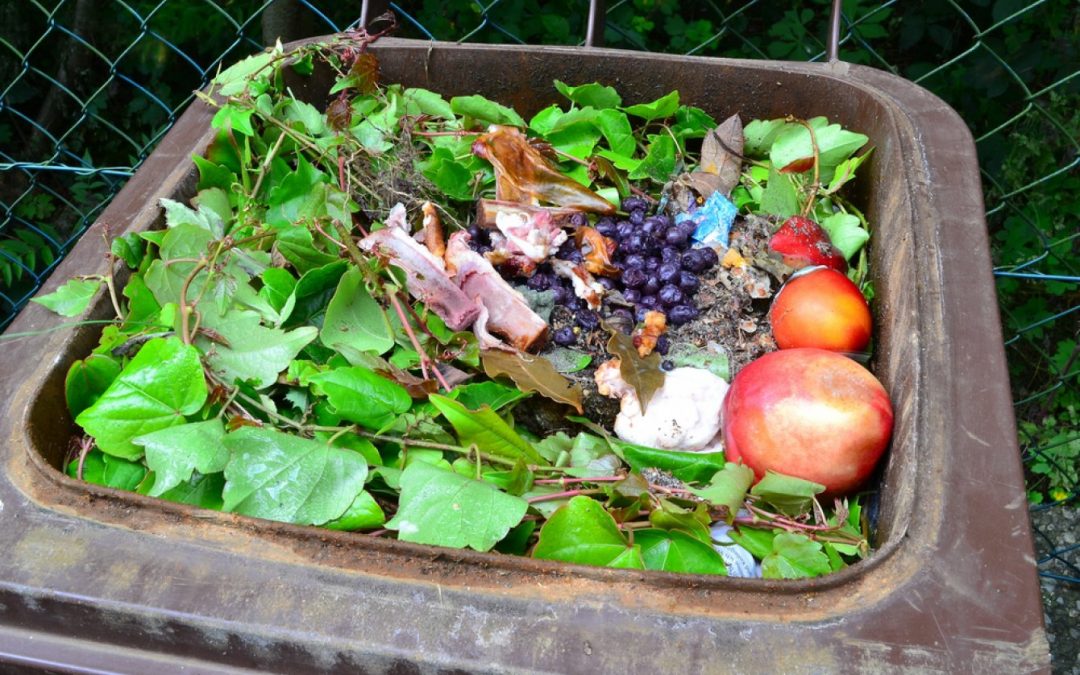 Änderung Termine Biomüllabfuhr, sowie geringfügige Änderung Termine Restmüllabfuhr