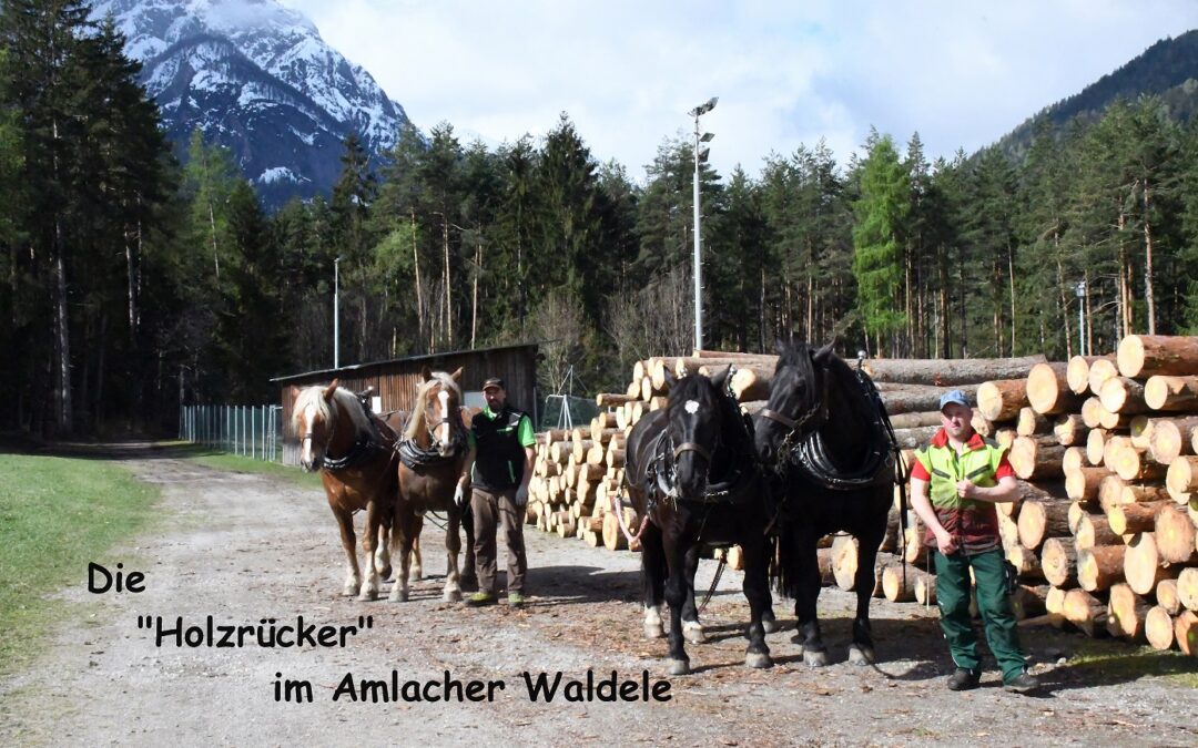 Die Amlacher Holzrücker