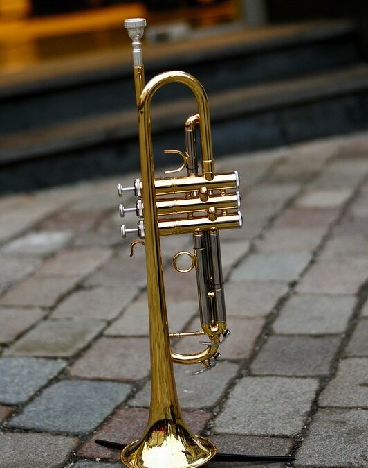 Abendserenade mit dem Bläserquintett „Brasst schon“, 09. Juli 2023 – 19:00 Uhr