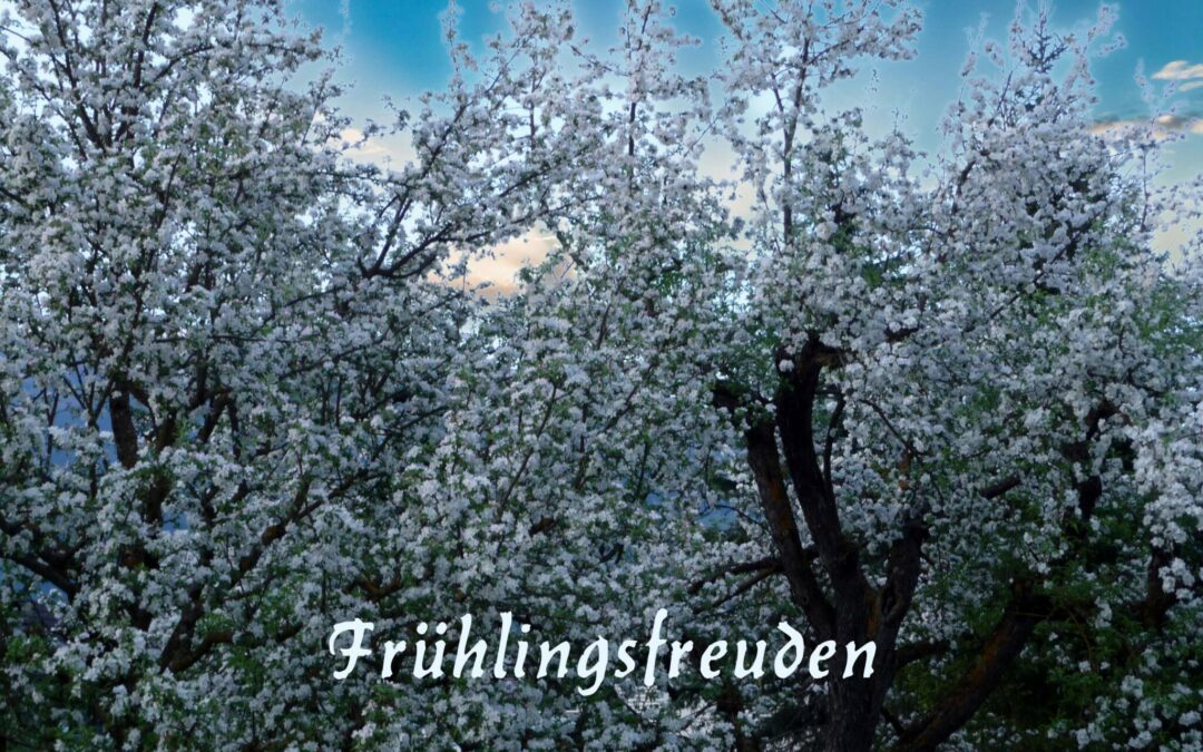 Fruehlingsfreuden