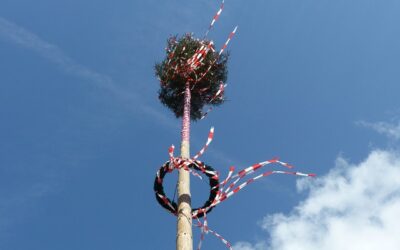 Maibaum passen 2024