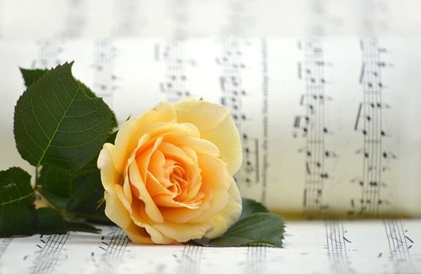 Musikalisch in den Sommer – Samstag, 08. Juni 2024, 16.00 Uhr