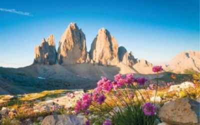 Ankündigung – Ausflug „Generation 60plus“