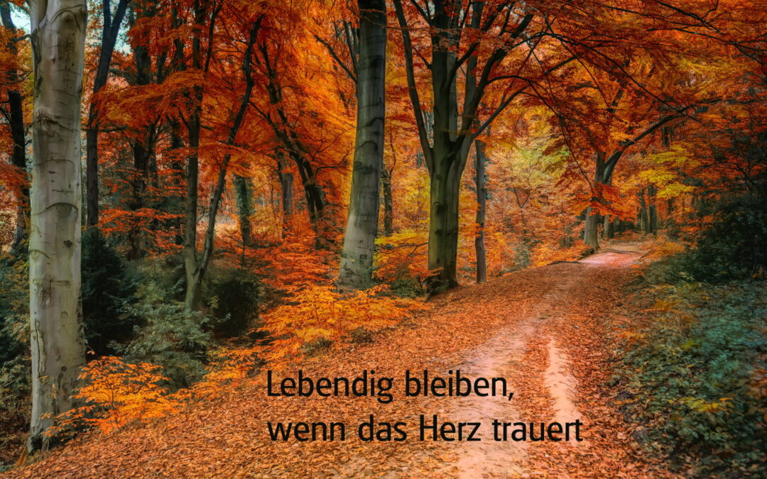 Trauerbegleitung-Vortrag