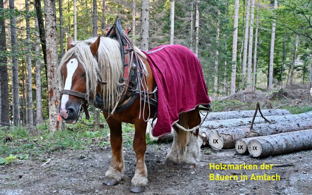 Hof- und Holzmarken in Amlach