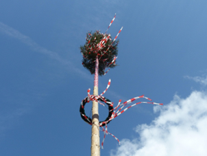 Dämmerschoppen mit Maibaumverlosung